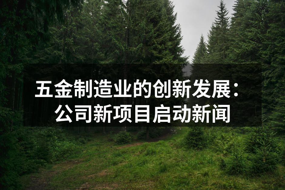 五金制造业的创新发展：公司新项目启动新闻